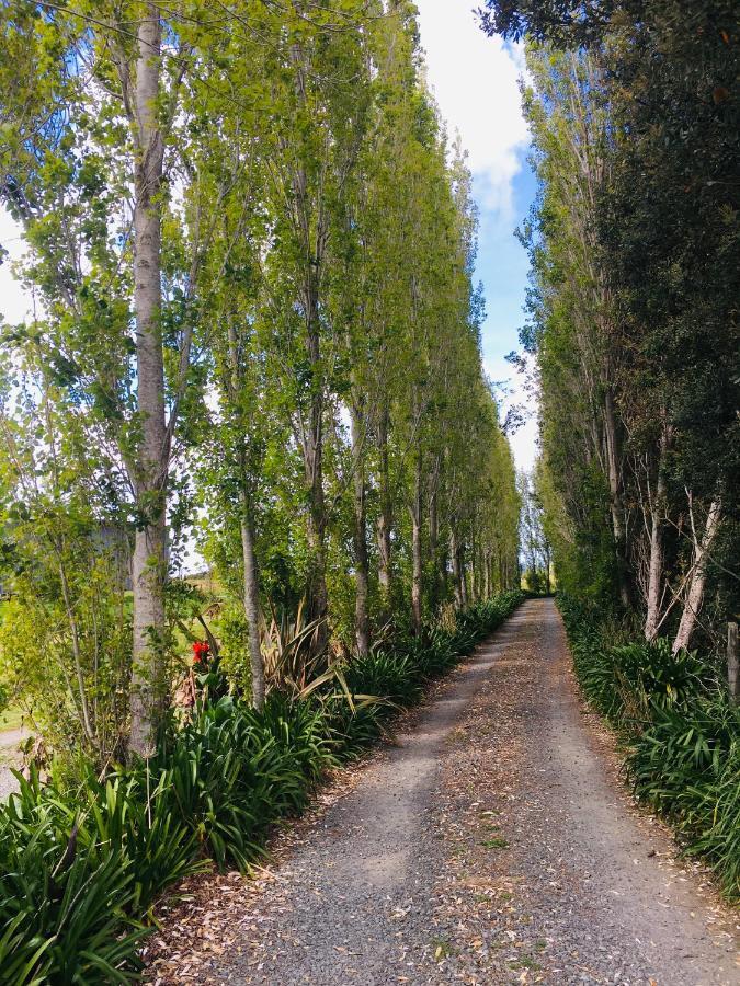 The Camel At Araiawa Raio Lodge Pukenui 外观 照片